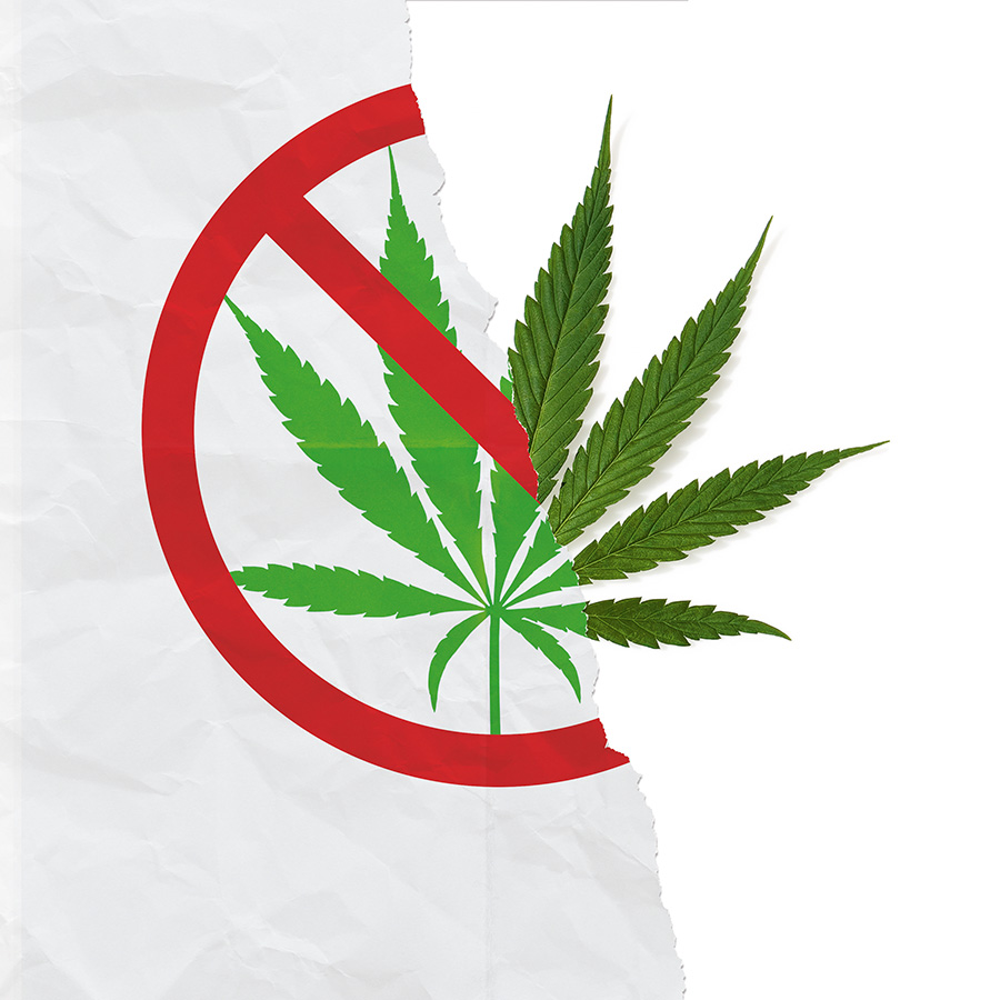  for WirtschaftsWoche 